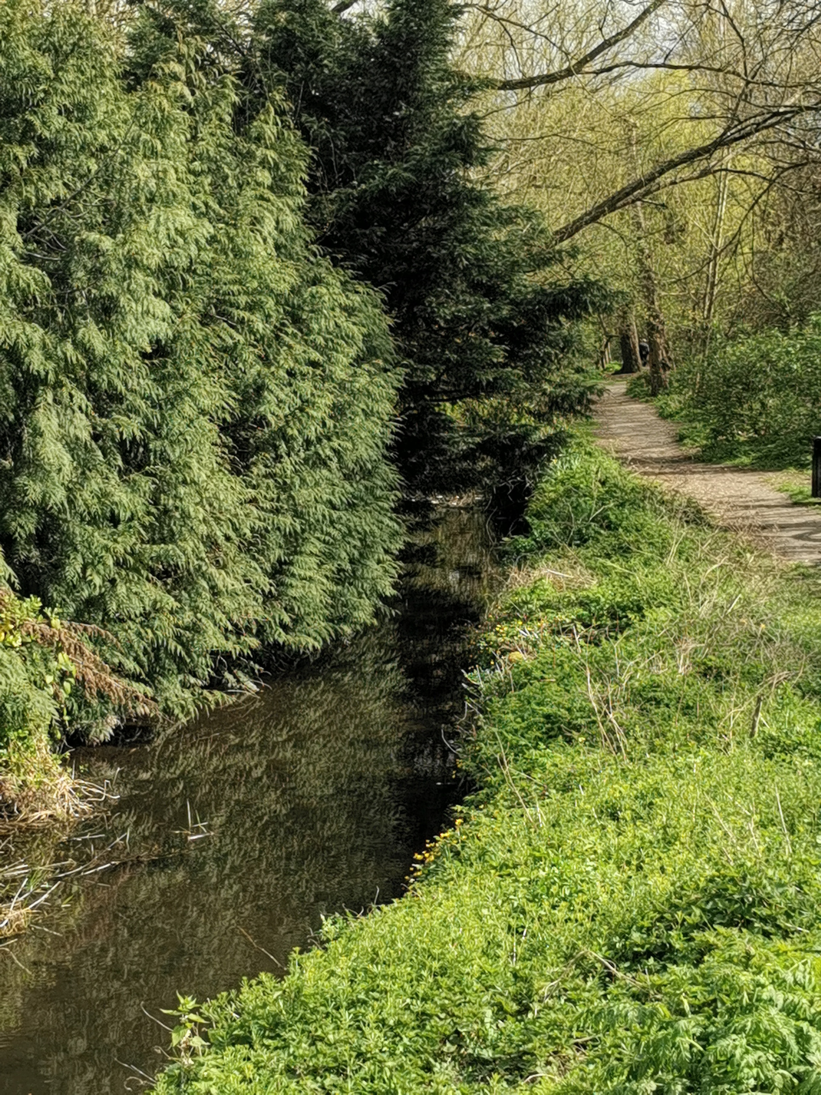 Stream-at-Fordbridge-Park-Morgan-Age-8